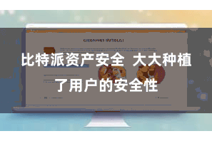 比特派资产安全 大大种植了用户的安全性