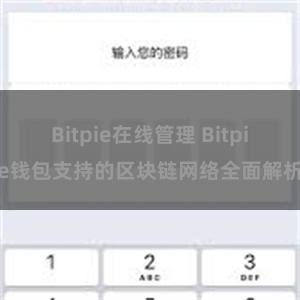 Bitpie在线管理 Bitpie钱包支持的区块链网络全面解析
