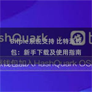Bitpie系统支持 比特派钱包：新手下载及使用指南
