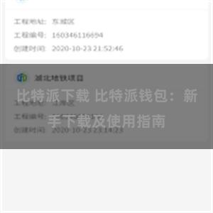 比特派下载 比特派钱包：新手下载及使用指南