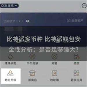 比特派多币种 比特派钱包安全性分析：是否足够强大？