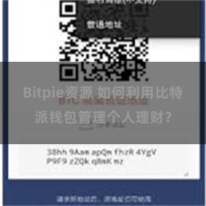 Bitpie资源 如何利用比特派钱包管理个人理财？