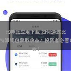 比特派应用下载 如何通过比特派钱包获取收益？投资者必看！