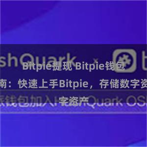 Bitpie提现 Bitpie钱包指南：快速上手Bitpie，存储数字资产