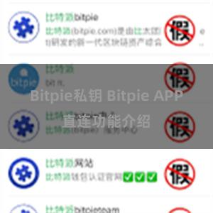 Bitpie私钥 Bitpie APP直连功能介绍