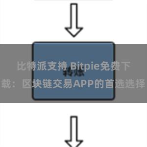 比特派支持 Bitpie免费下载：区块链交易APP的首选选择