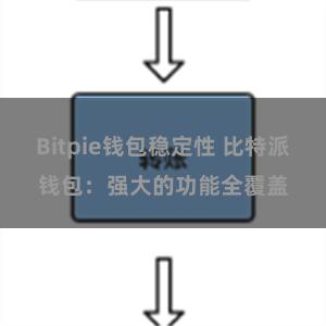 Bitpie钱包稳定性 比特派钱包：强大的功能全覆盖