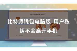 比特派钱包电脑版  用户私钥不会离开手机