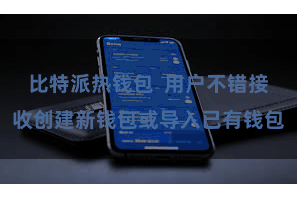 比特派热钱包  用户不错接收创建新钱包或导入已有钱包